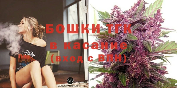 мет Алексин