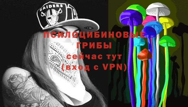 мет Алексин