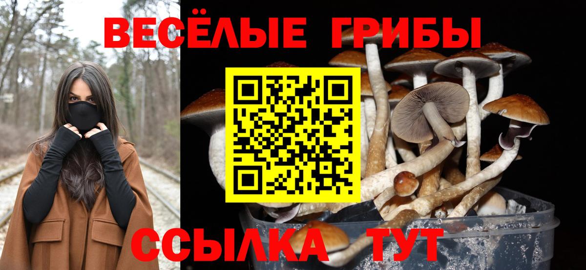 КОКАИН  Канабис  Вход с VPN  Alpha-PVP СК кристаллы  Белореченск  Мефедрон кристаллы 