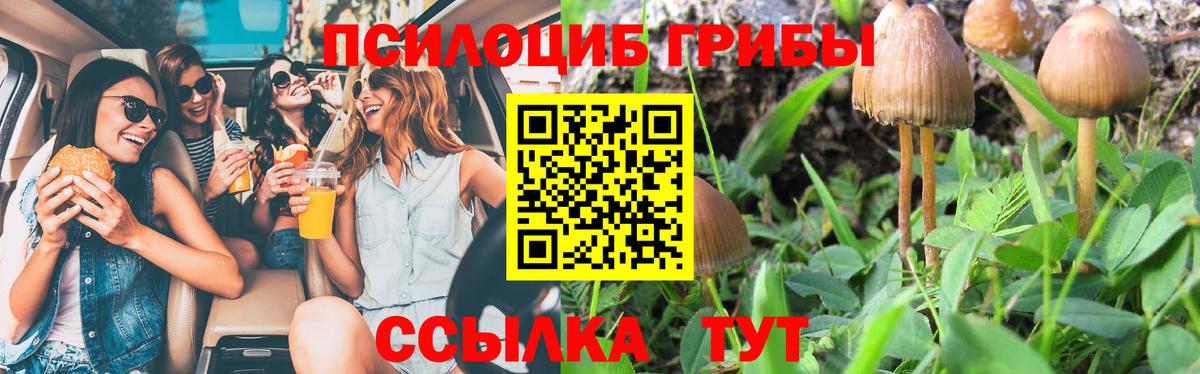 Белореченск  Псилоцибиновые грибы GOLDEN TEACHER  Вход с VPN  Псилоцибиновые грибы ЛСД 